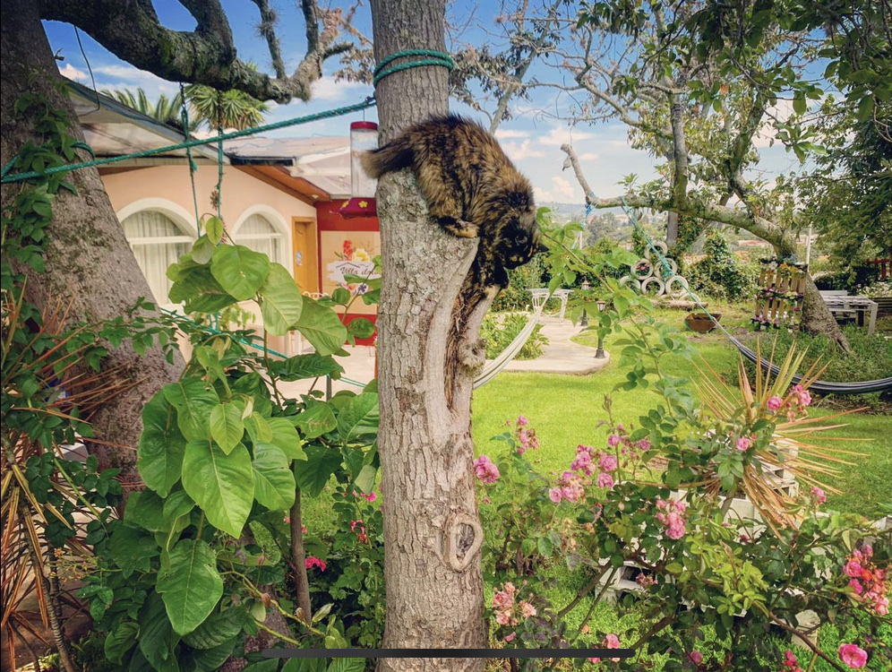 Villa ilaló Cumbaya Quito
